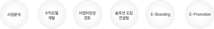 시장분석,  수익모델개발, 사업타당성검토, 솔루션도입컨설팅, E-branding, E-Promotion